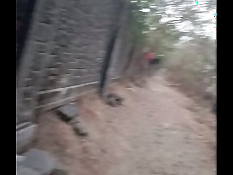 This film over features a mature,